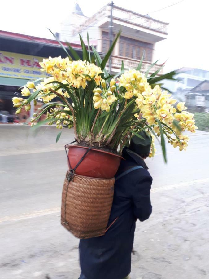 Thuan Ha Hotel Sa Pa Buitenkant foto